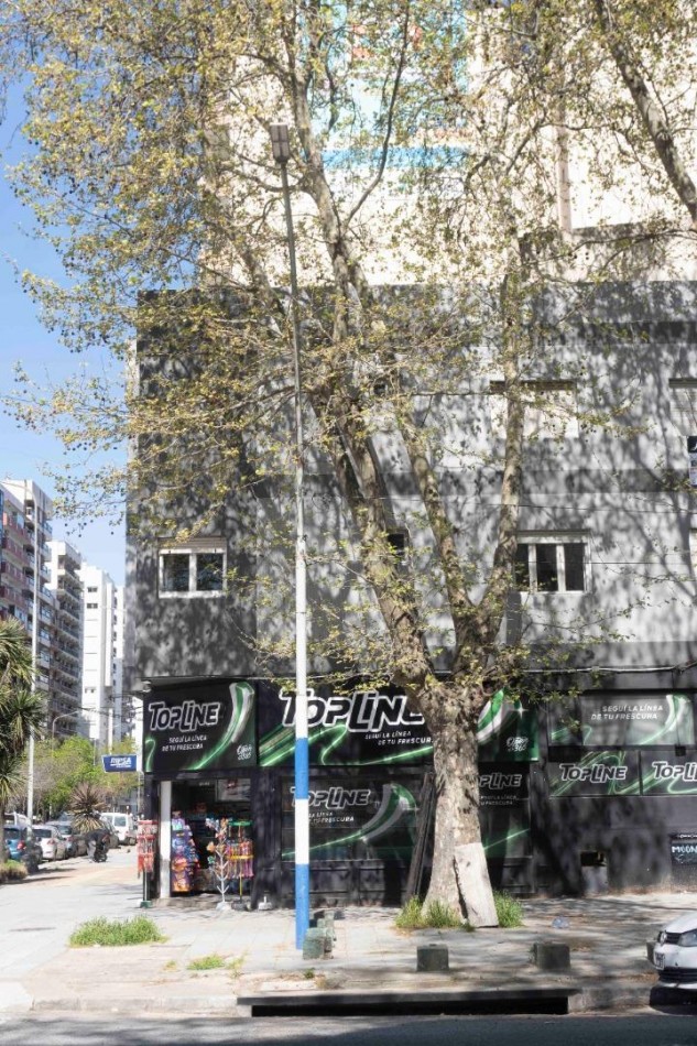 VENTA. EN BLOCK. HOTEL Y 3 LOCALES. LA PERLA